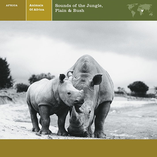Animals of Africa: Sounds of the Jungle, Plain & Bush | Nonesuch Records - MP3  Downloads, Free Streaming Music, Lyrics